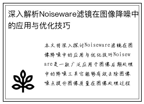 深入解析Noiseware滤镜在图像降噪中的应用与优化技巧