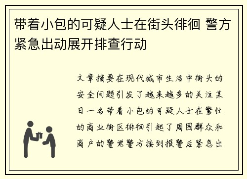 带着小包的可疑人士在街头徘徊 警方紧急出动展开排查行动 带着小包的可疑人士在街头徘徊 警方紧急出动展开排查行动